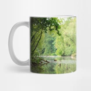 In the swamp Mug